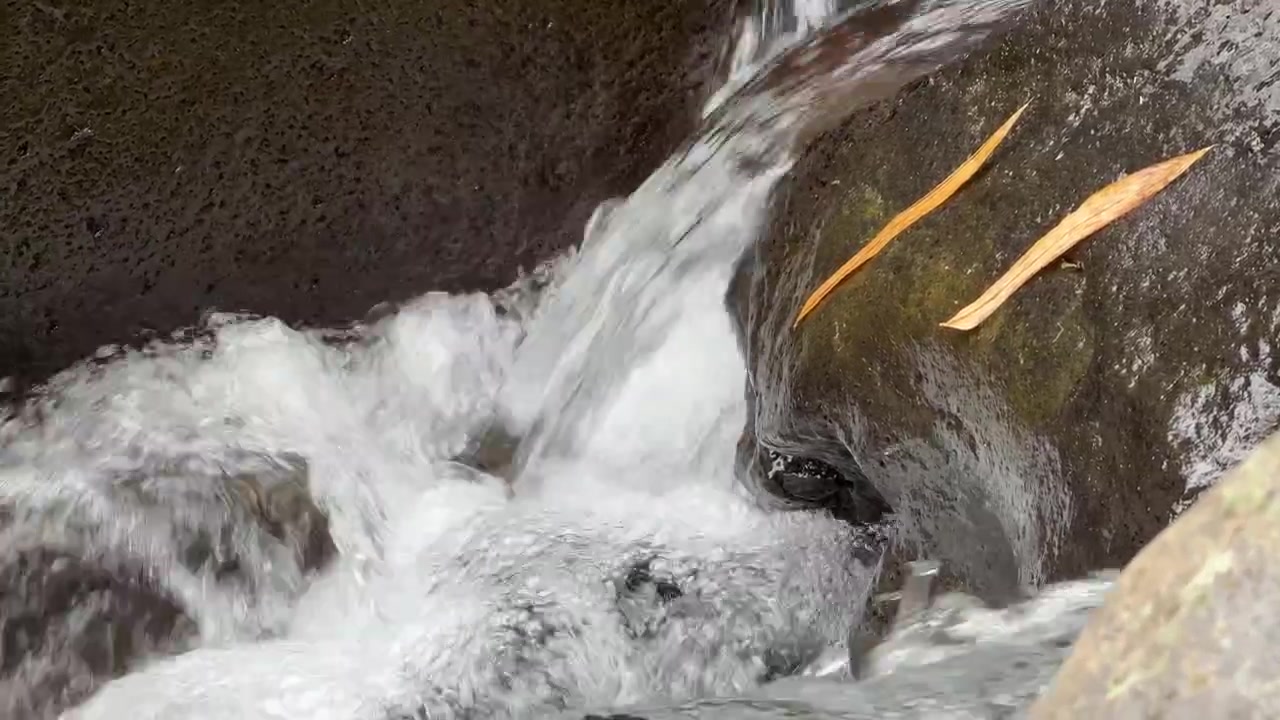 Acqua cristallina che scorre su rocce scure in un ruscello