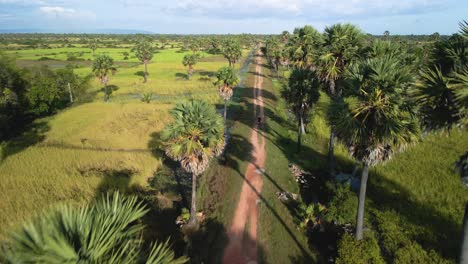 Lone-rider-off-road-on-palm-lined-dirt-track-in-lush-countryside