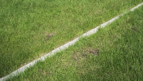 person running on a grassy field