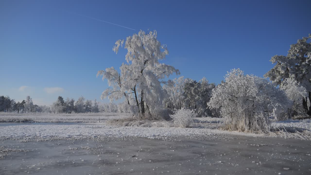beautiful winter landscape with white trees. Everything is full of snow and frozen. The sky is blue. Winter wonderland in Wetzikon near Lake Pfäffikersee. Beautiful winter landscape.