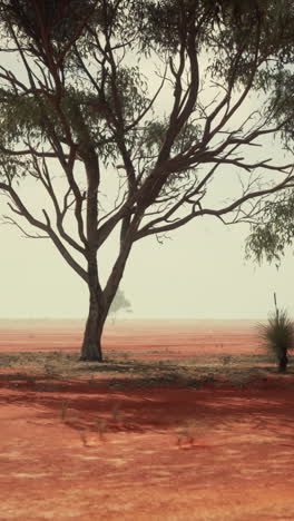 un árbol solitario se encuentra en un campo de tierra roja, con un cielo despejado en el fondo