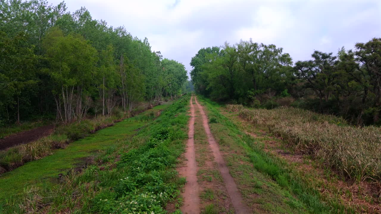 A white van driving smoothly along a dirt road through a lush green forest, capturing a sense of adventure
