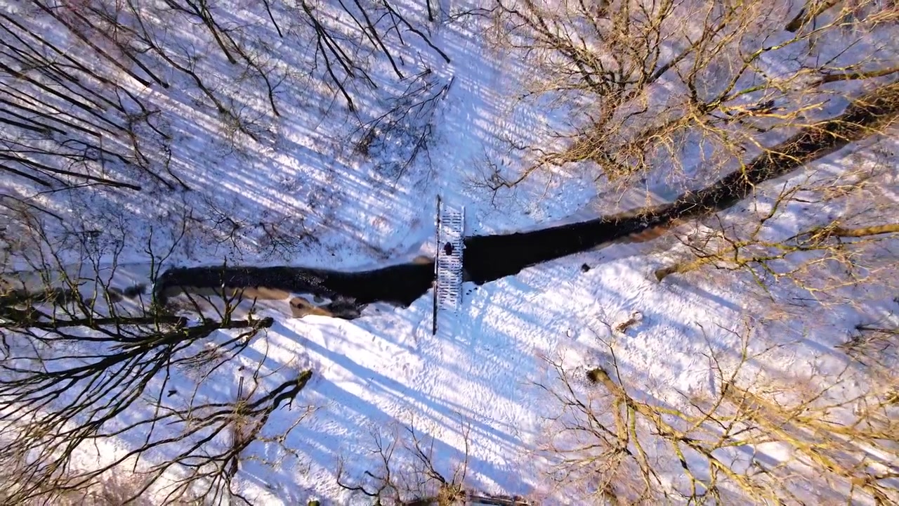 Ripresa con drone di una foresta con un fiume e un ponte in inverno nei Paesi Bassi.