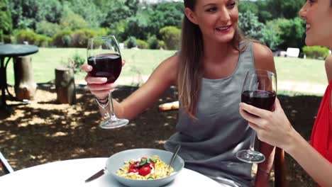 Smiling-friends-interacting-with-each-other-while-drinking-red-wine