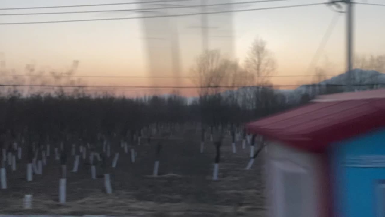 Foresta alla periferia di Pechino, Cina