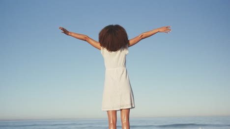 rear view of african american woman enjoying at the beach