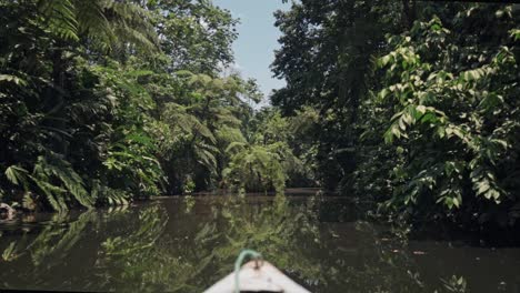 canoe in the amazon river in cuyabeno, ecuador