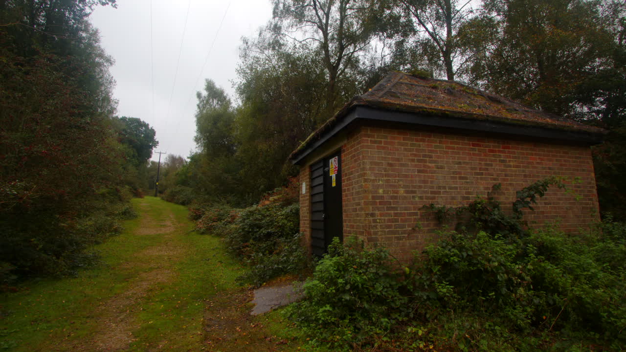 Scatto sopra un edificio di servizio, a sinistra dell'inquadratura, nella New Forest