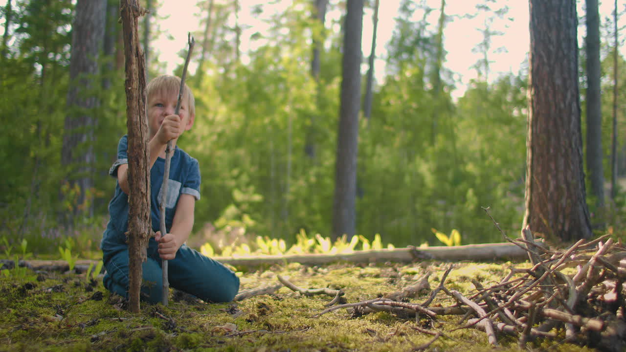 숲에서 소년은 연료를 수집합니다. 캠핑에서 여름 숲에서 건조한 연료를 수집합니다. 여름 하이킹에서 캠프 불을위한  ⁇ 나무.