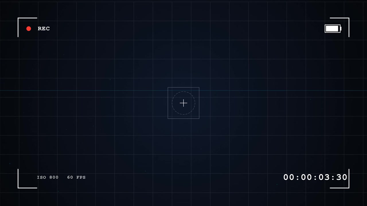 Digital Camera Viewfinder Interface with Grid Overlay