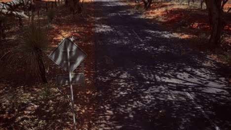 outback road with dry grass and trees