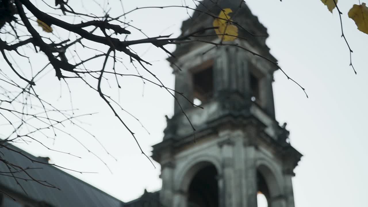 torre histórica en dresde con ramas en primer plano