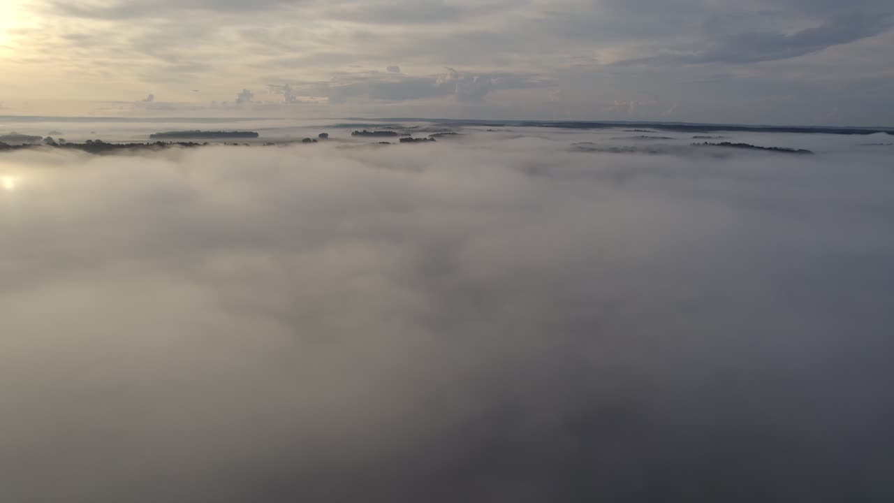 volar sobre las nubes revelando un paisaje forestal natural