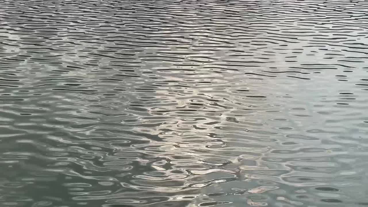 해변에서 바다에 파도 파동