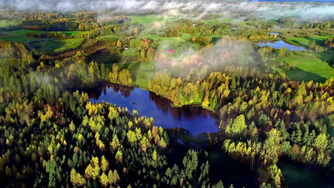 Aerial-drone-shot-over-Idyllic-countryside-nature-landscape-with-grasslands-on-one-side-and-green-forest-on-the-other-side-on-a-sunny-morning