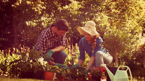 pareja feliz de jardinería en el parque