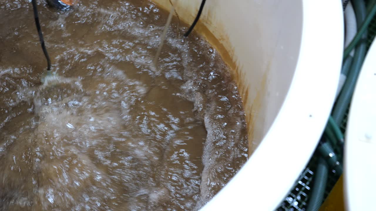 아테미아 새우 물 크에서 거품 물, 수산 농장에서 물 산소화