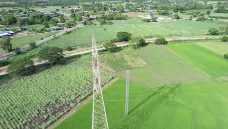 high voltage pole, transmission tower, electricity pylon, electric power transmission located on rice field in the countryside