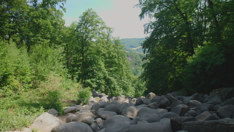 Felsenmeer-in-Odenwald-Sea-of-rocks-Wood-Nature-Tourism-on-a-sunny-day-pan-shot