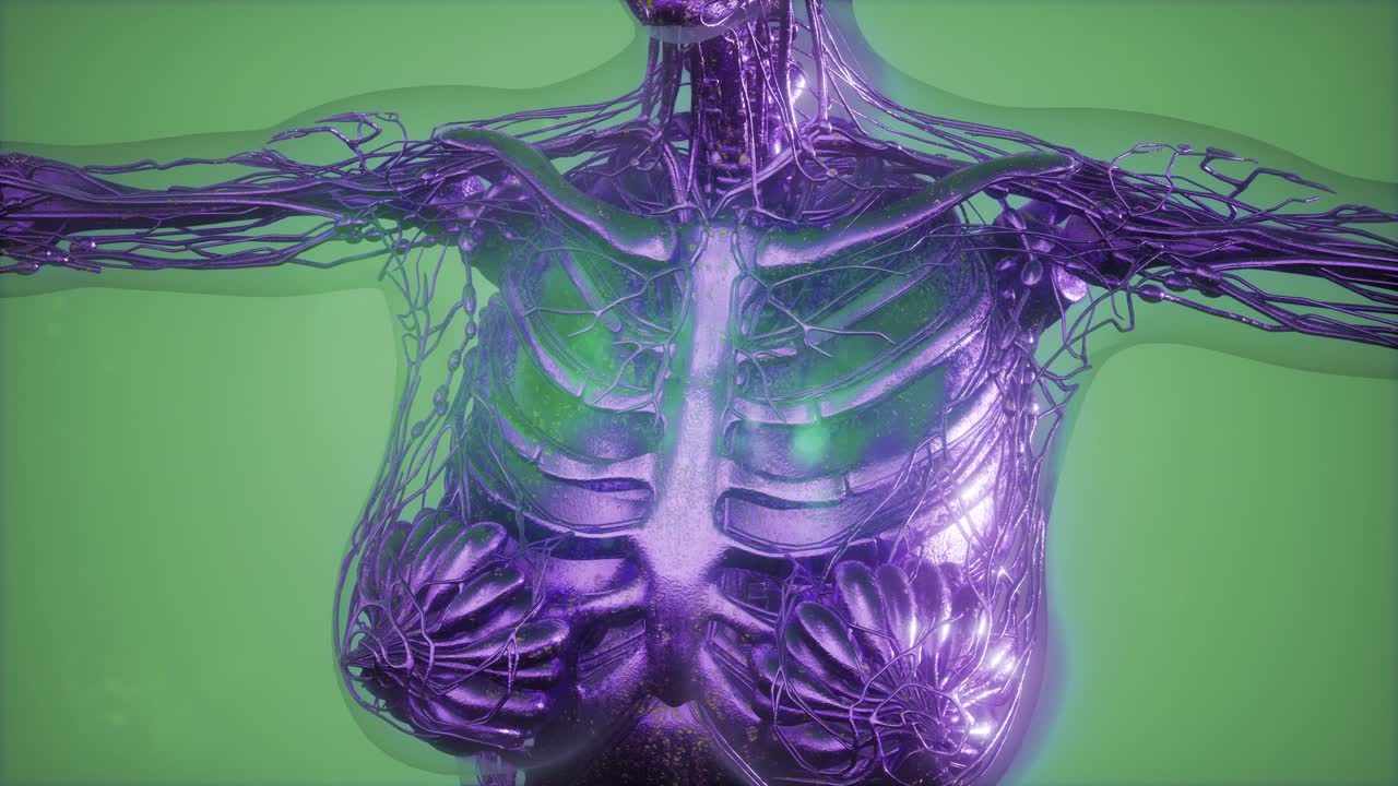 radiografía de mamografía para el diagnóstico del cáncer de mama