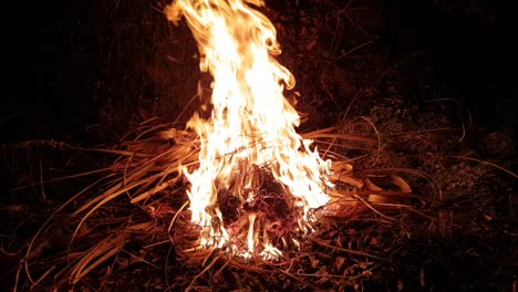 una escena ardiente para las pajas de arroz