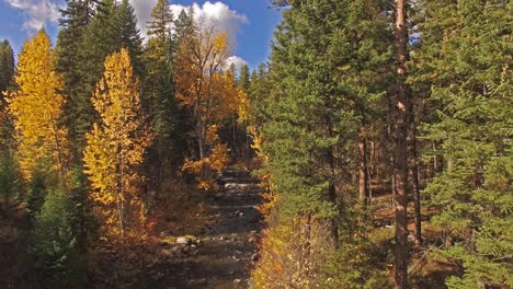 aerial drone shot panning down a creek or stream in the fall or autumn in montana