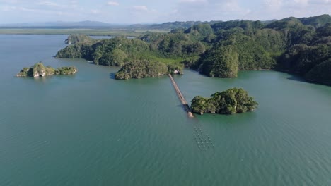 el parque nacional los haitises islas del bosque en república dominicana