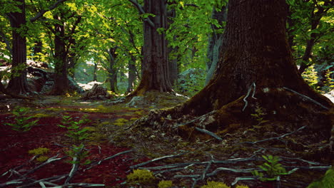 Vista-Detallada-De-Cerca-En-Una-Textura-De-Suelo-Forestal-Con-Musgo