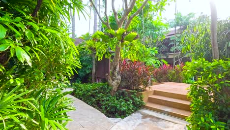 tropical garden pathway with palm trees