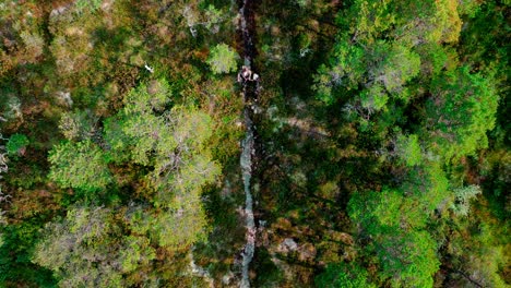 Above-View-Of-A-Hiker-Over-Tracks-In-The-Middle-Of-Forest-In-Blaheia,-Norway