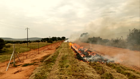 firebreak burns done next to dirt road in rural south africa before fire season