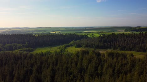 Drone-shot-Longleat-Woods-in-England