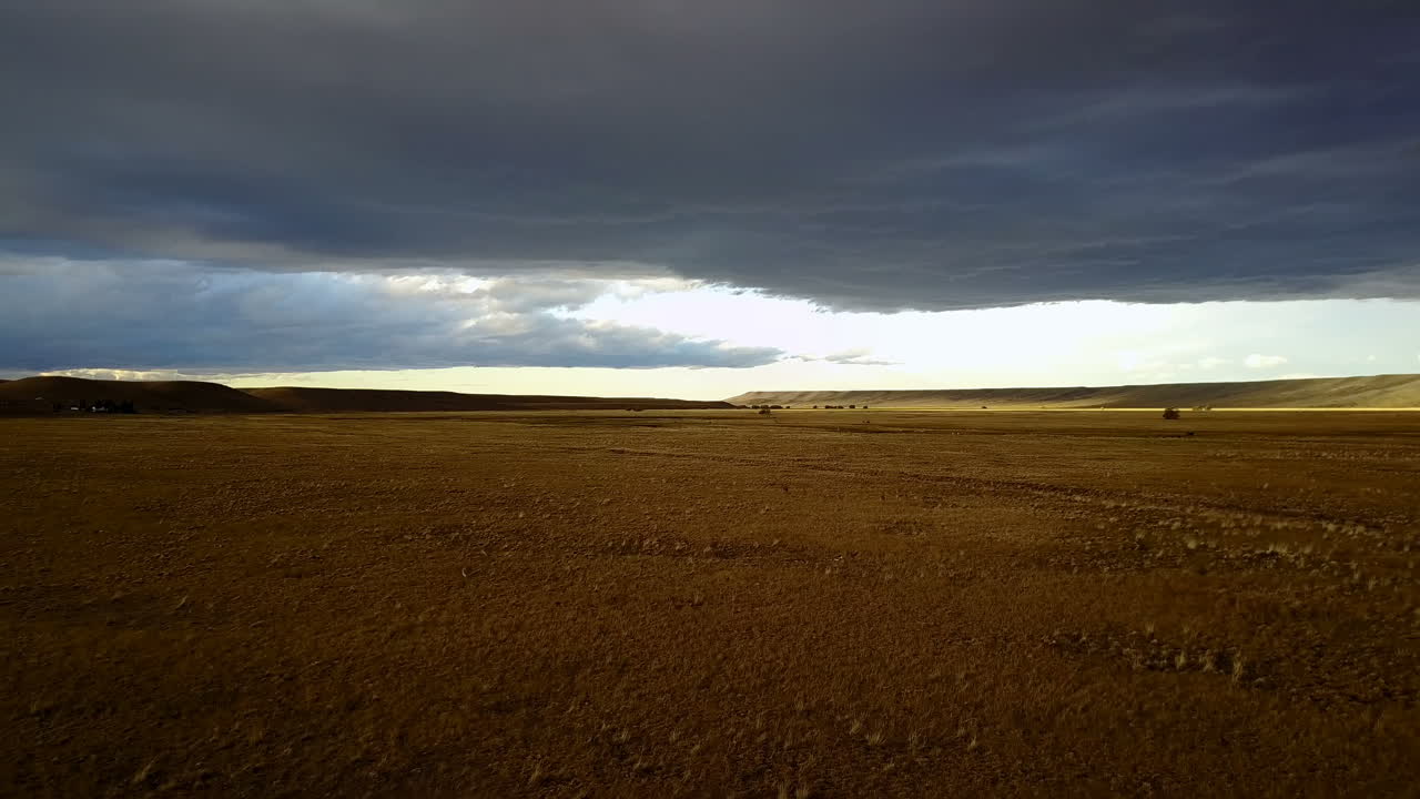 Dronebillede af strudse i ørkenen i Patagonien.