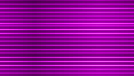 purple color neon light geometric glowing line animation. animated neon line motion background.