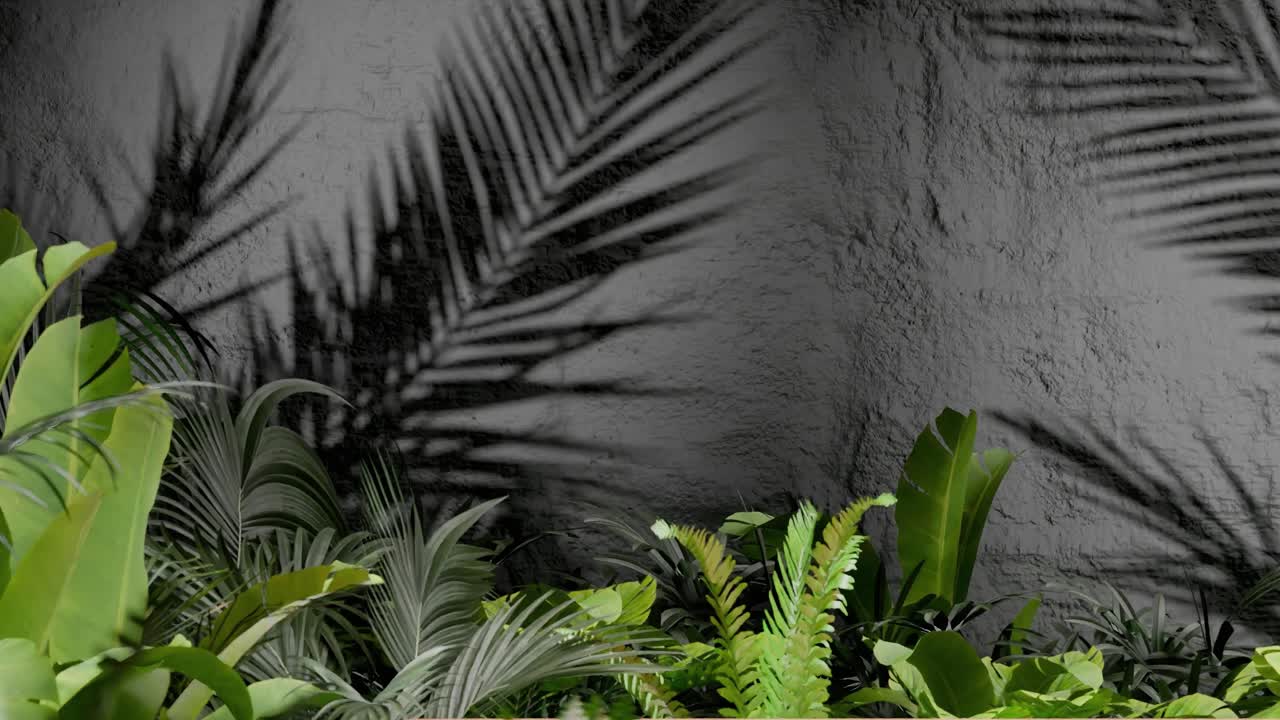Tropical green plants casting palm leaf shadows on textured grey wall. Botanical outdoor photography. Nature, foliage, and tropical garden design concept. Design for wallpaper, banner