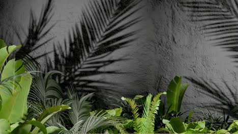tropical green plants casting palm leaf shadows on textured grey wall. botanical outdoor photography. nature, foliage, and tropical garden design concept. design for wallpaper, banner