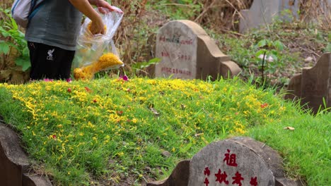 person scatters yellow flowers on a grave