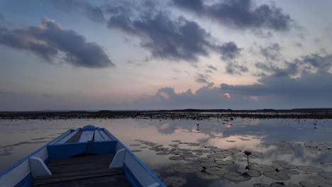 boat ride on songkhla lake among aquatic plants at a romantic sunset