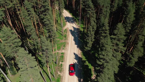red car driving on a dirt road through a pine forest (aerial view)