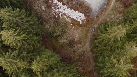 top down drone shot of a forest with snow on the ground up to frozen lakes and a city in the background