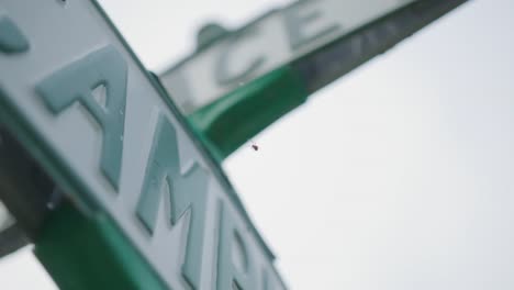 Close up of spider naturally navigating and creating its web on a street sign in northern michigan