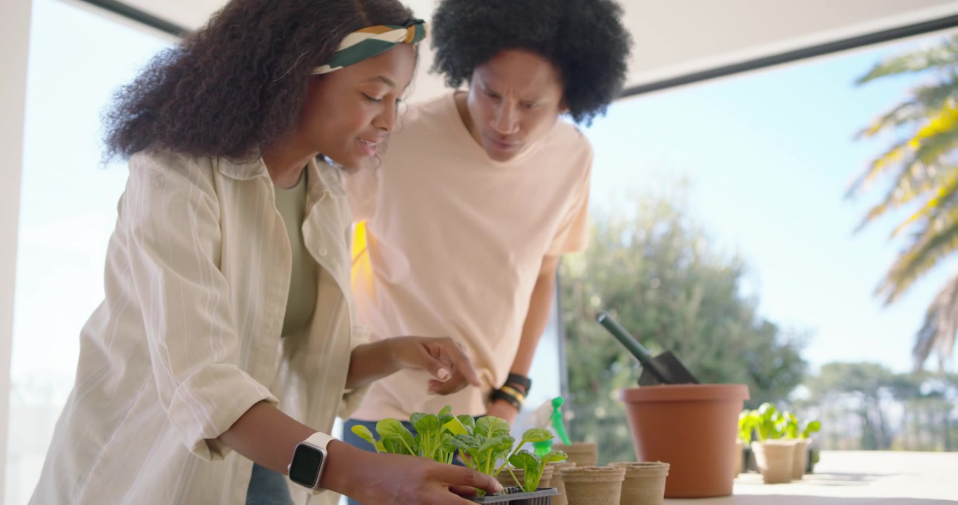 African couple potting seedlings at open door, woman wearing headband inspecting tray, man entering