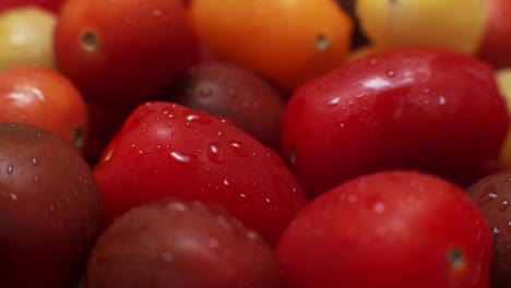 medley of heirloom grape cherry tomatoes.