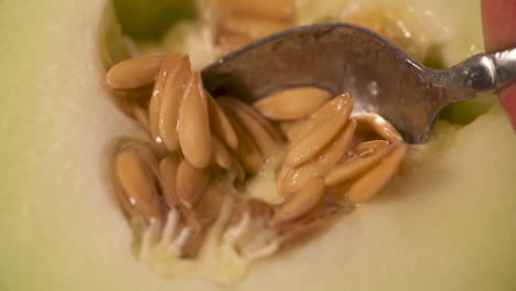 slow motion close up of a spoon digging the seeds out of a tender, ripe, honeydew melon