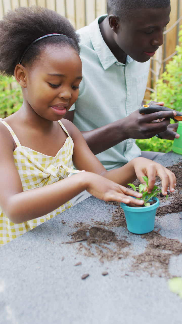 video vertical de padre y hija afroamericanos plantando