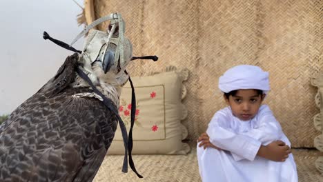 arab child in traditional outfit kandura sitting near falcon