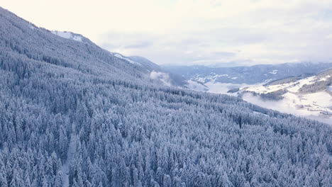 Dolomites-winter-scenic-aerial-view-with-golden-light,-forest-trees-in-snow