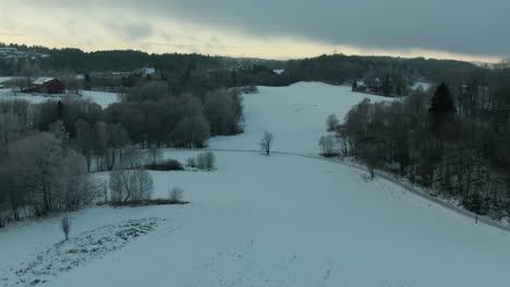 Drohnenaufnahmen-Auf-Einem-Feld