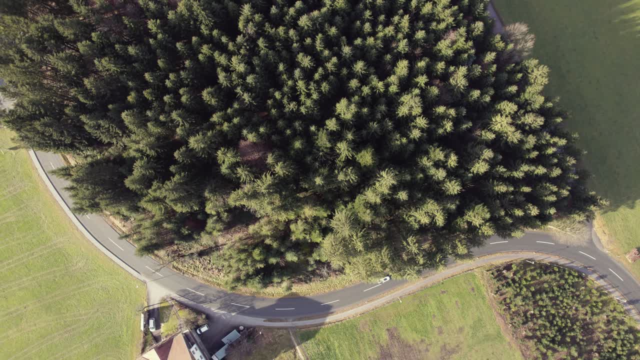 Aerial bird's eye view drone of a monoculture block of pine trees between grassy fields, houses and a road leading through rural area with car driving along road on sunny day, Austria