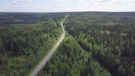 aerial view of a road winding through a dense forest